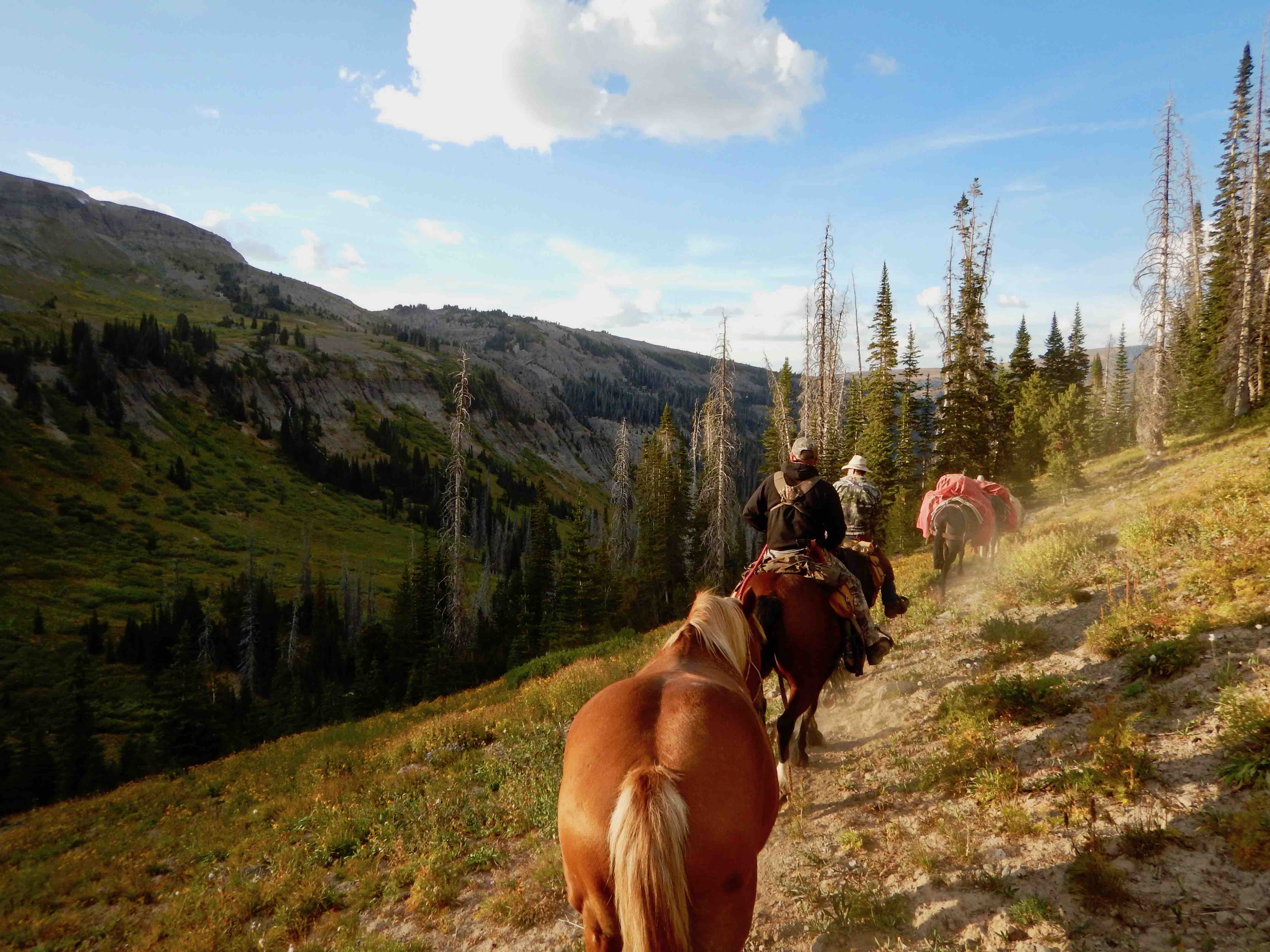 Yellowstone River Pack Trips