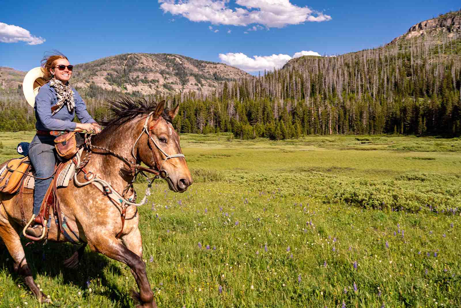 Horseback Riding Private Rides