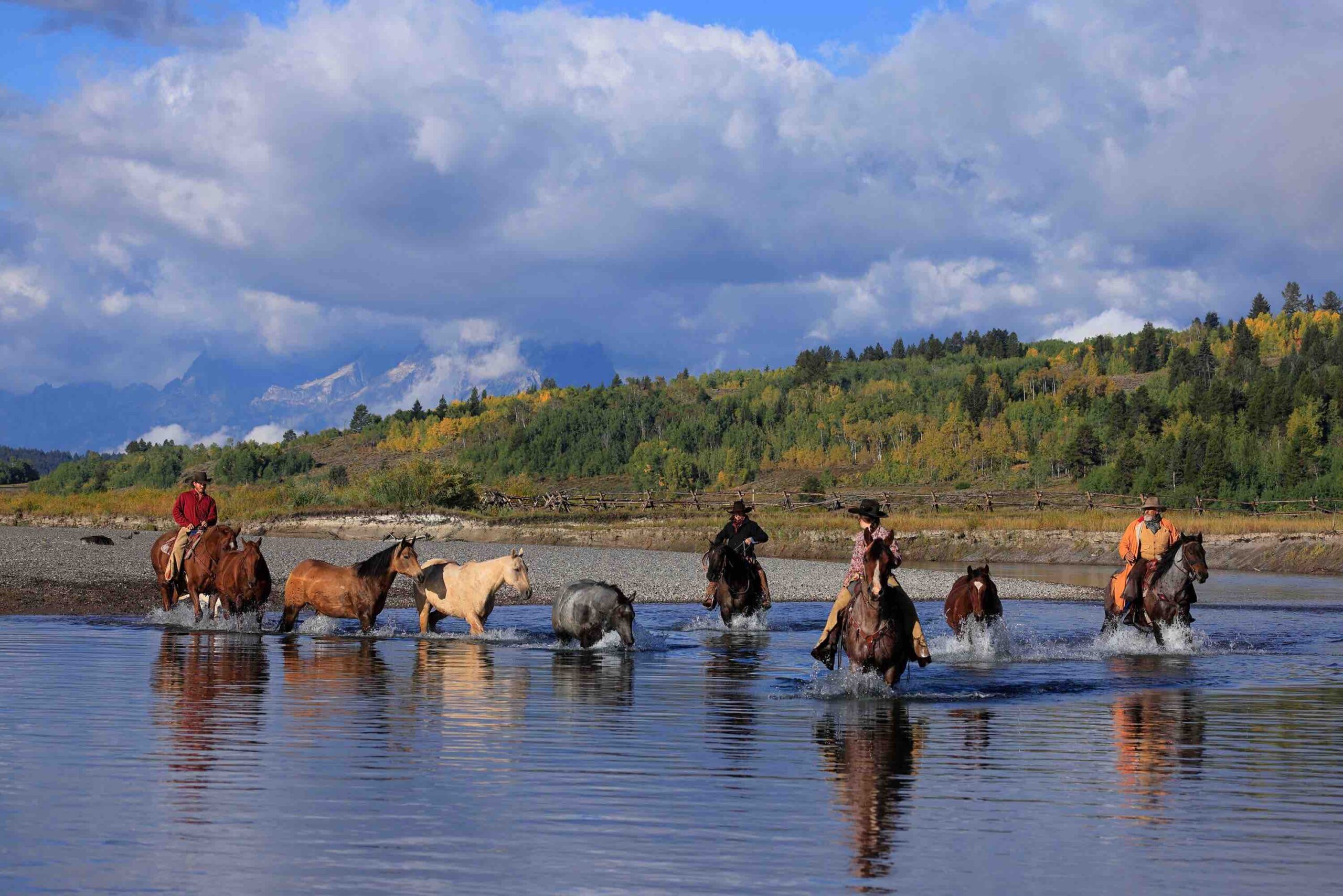 Horseback Riding River